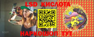 гашик Бийск