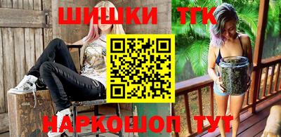 гашик Бийск