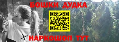 гашик Бийск
