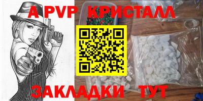 гашик Бийск