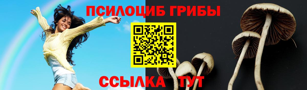 Галлюциногенные грибы Psilocybine cubensis  Вход с VPN  Карпинск 
